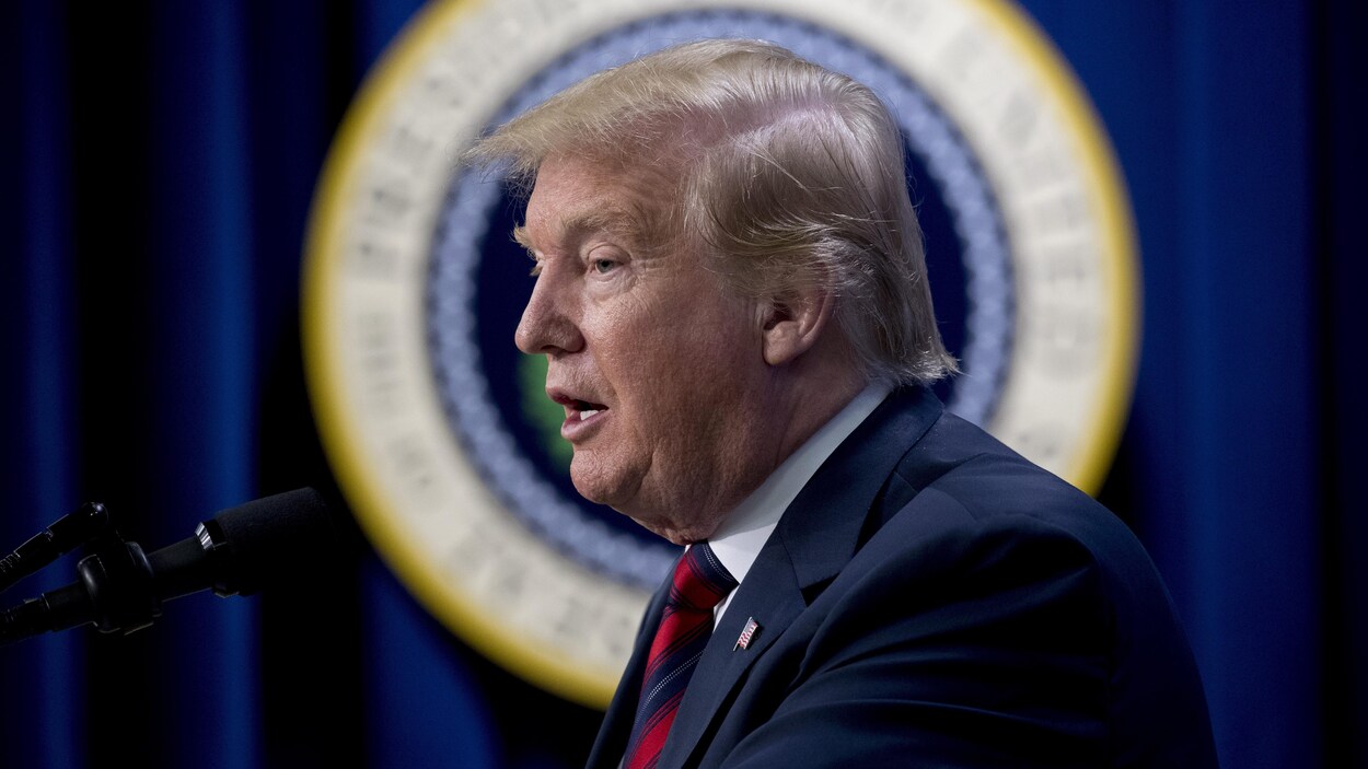 Vue de profil et en gros plan du président des États-Unis, Donald Trump, en train de prononcer une allocution au micro.