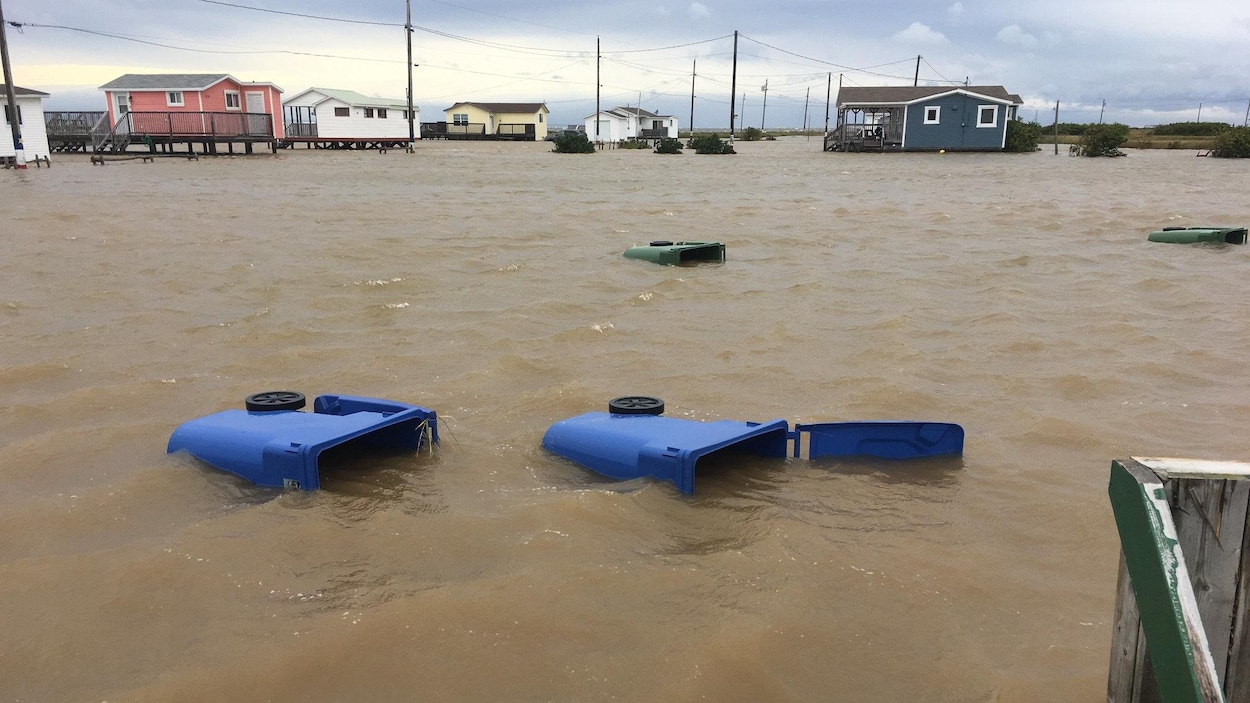 Des bacs de recyclage flottent sur l'eau dans une rue résidentielle inondée.
