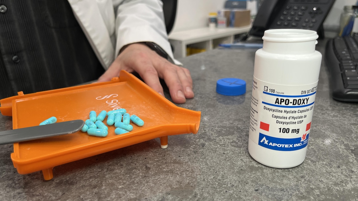 Morsures de tiques : les pharmaciens ont fait baisser de moitié les visites aux urgences