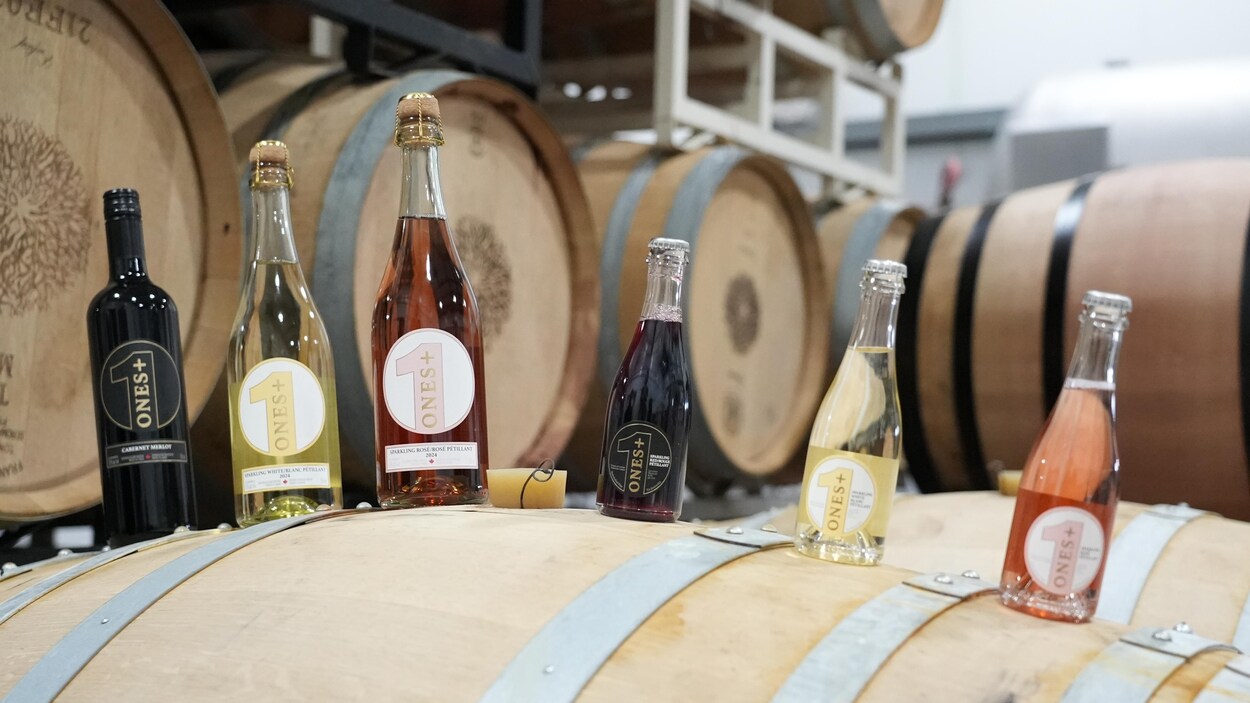 1M $ des Dragons pour une entreprise de vins désalcoolisés de l’Okanagan
