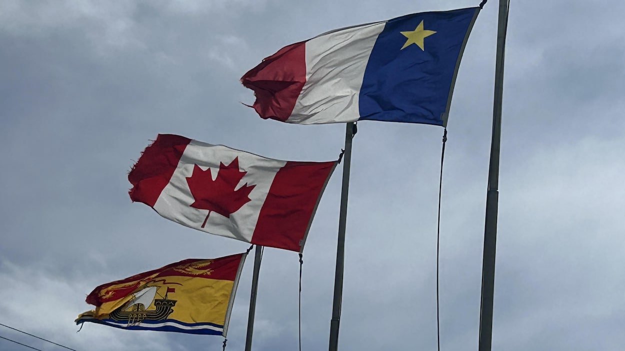 Commerce interprovincial : les petites et moyennes entreprises accordent un « A » au N.-B.