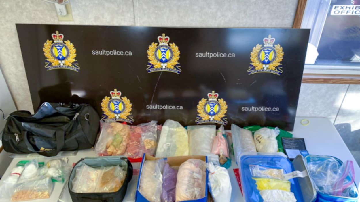 Plus de 800 000 $ de drogues saisies à Sault-Sainte-Marie