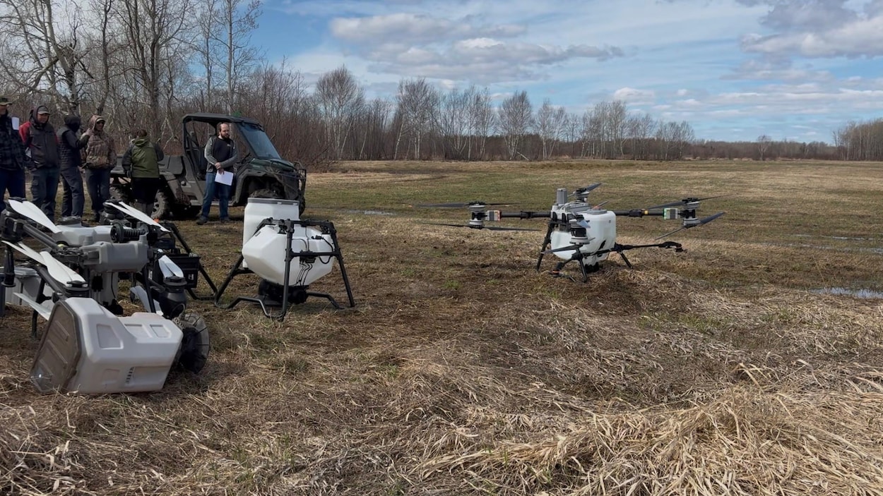 Les agriculteurs peuvent faire appel à des drones pour l’épandage de pesticides