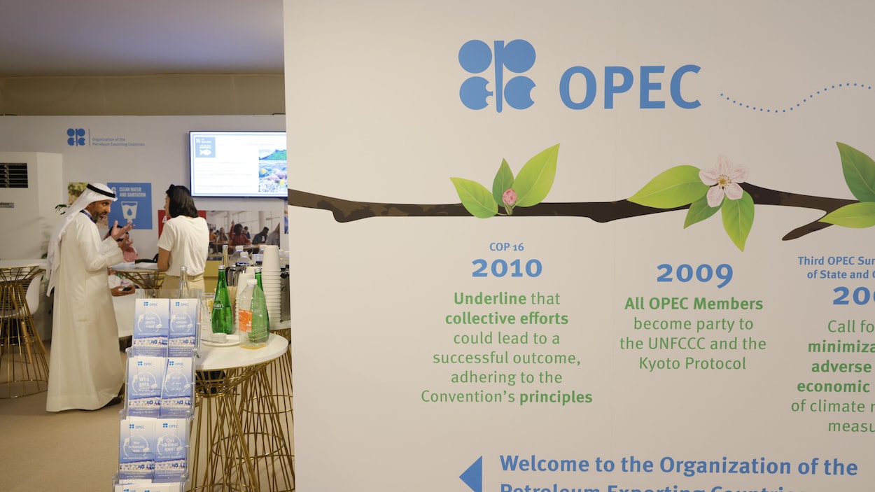 Raiva na COP28 por obstrução da OPEP  COP28: Cimeira do Clima no Dubai