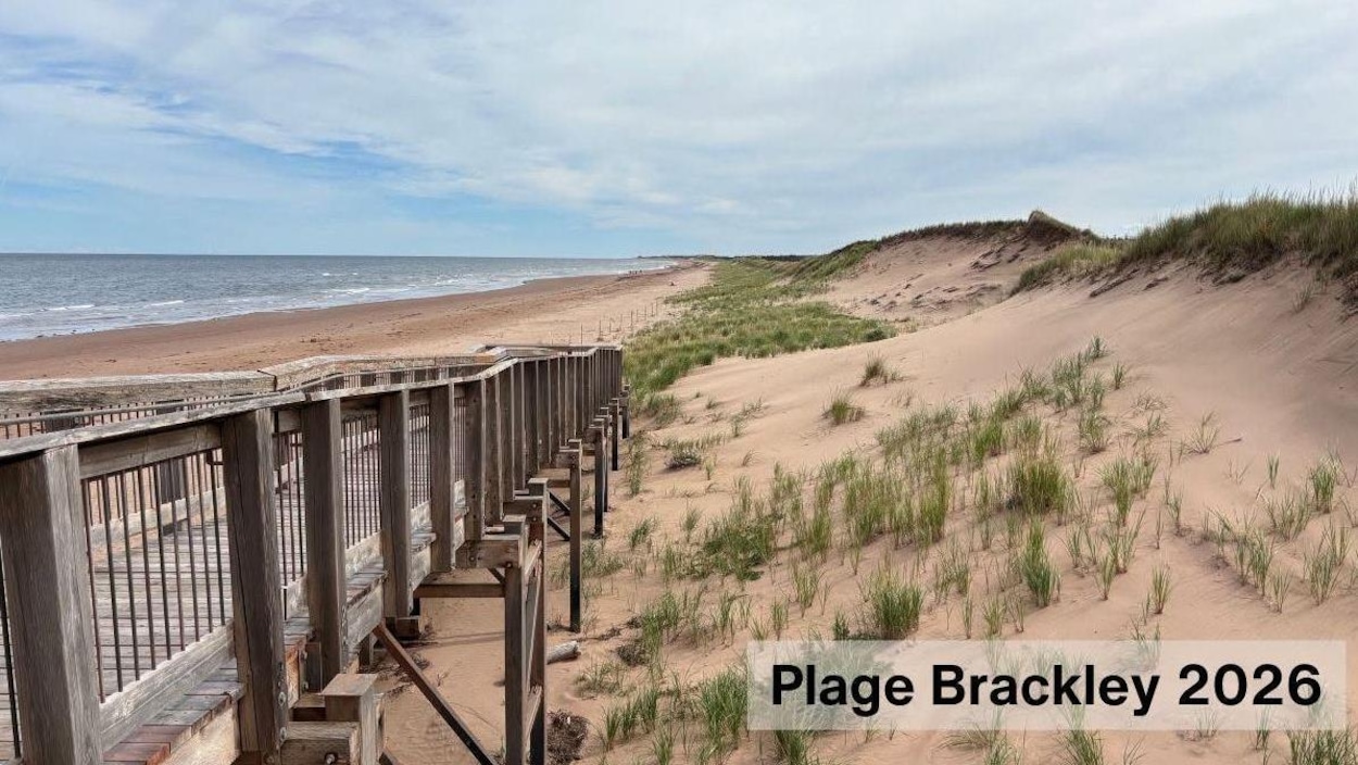 Lentement, mais sûrement, des dunes du nord de l’Île se régénèrent après Fiona