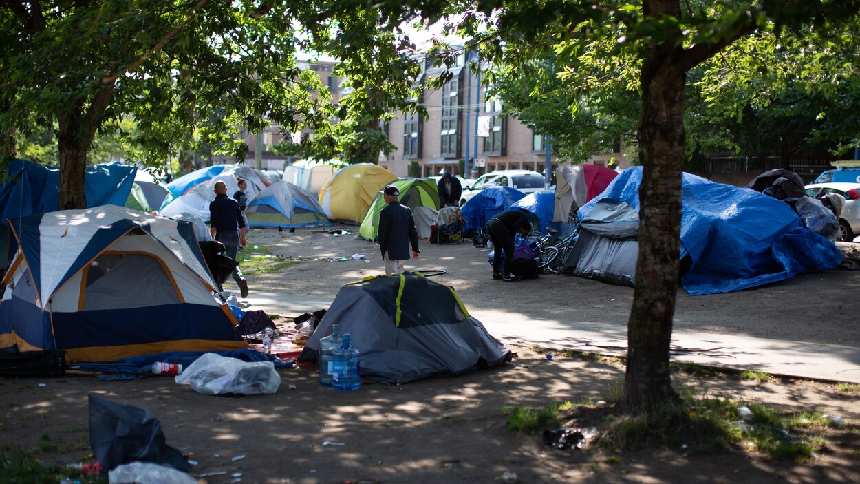 Plan serré de plusieurs dizaines de tentes érigées dans un parc.