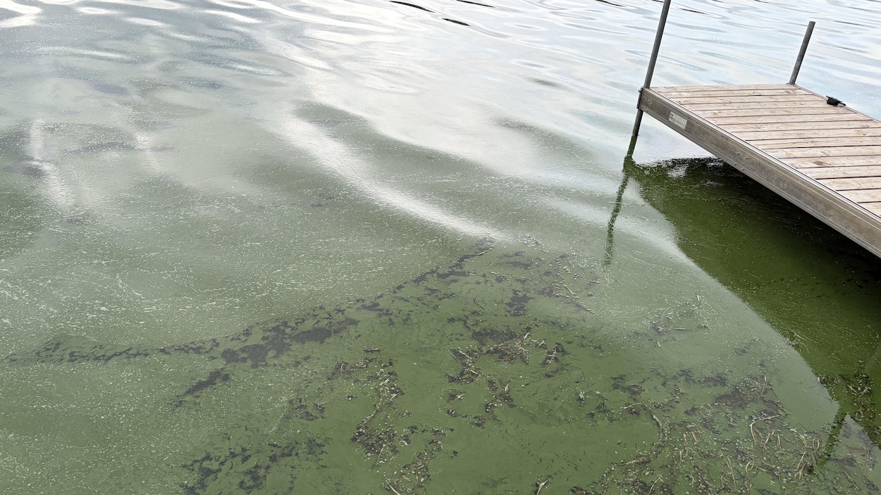 La santé du lac Saint-Augustin sous la loupe d’experts