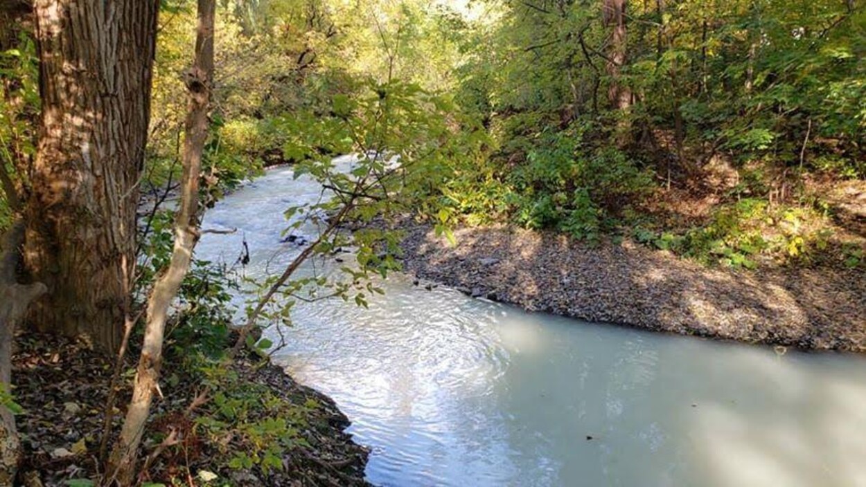 Un dérivé de pétrole a été déversé dans la rivière Beauport.