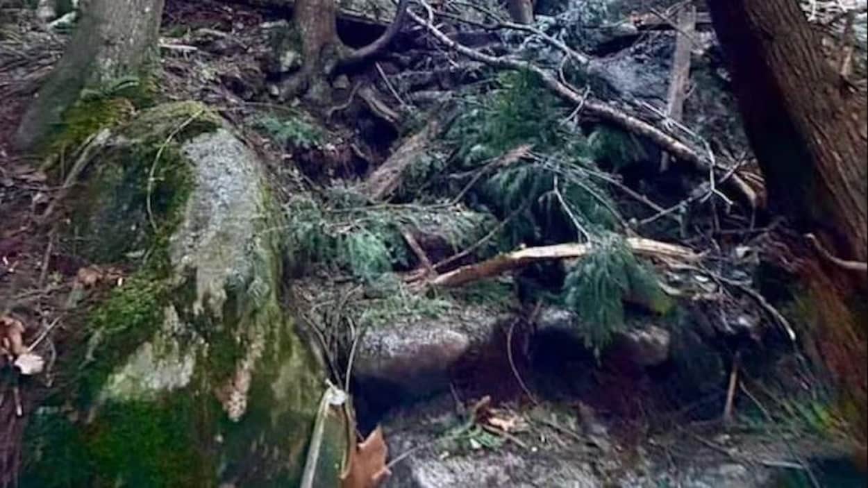 Le sentier de randonnée de Squamish est fermé après un éboulement
