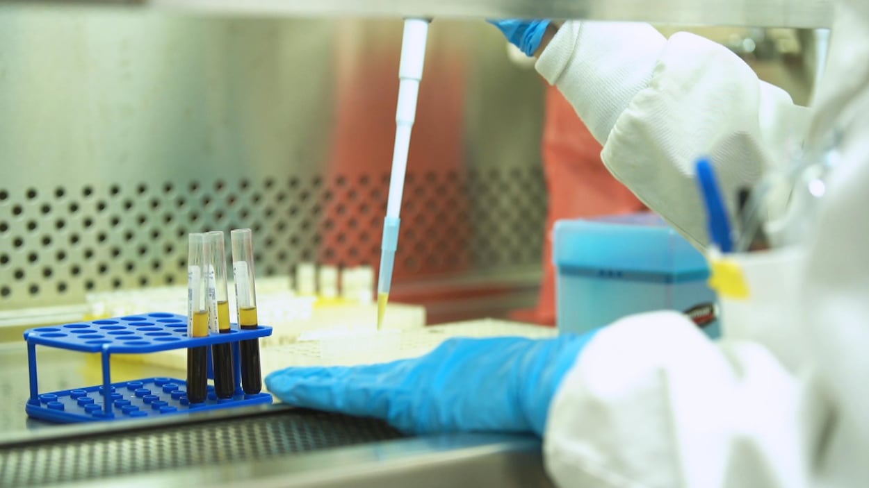Échantillons de sang dans les laboratoires de l’hôpital Sainte-Justine, à Montréal