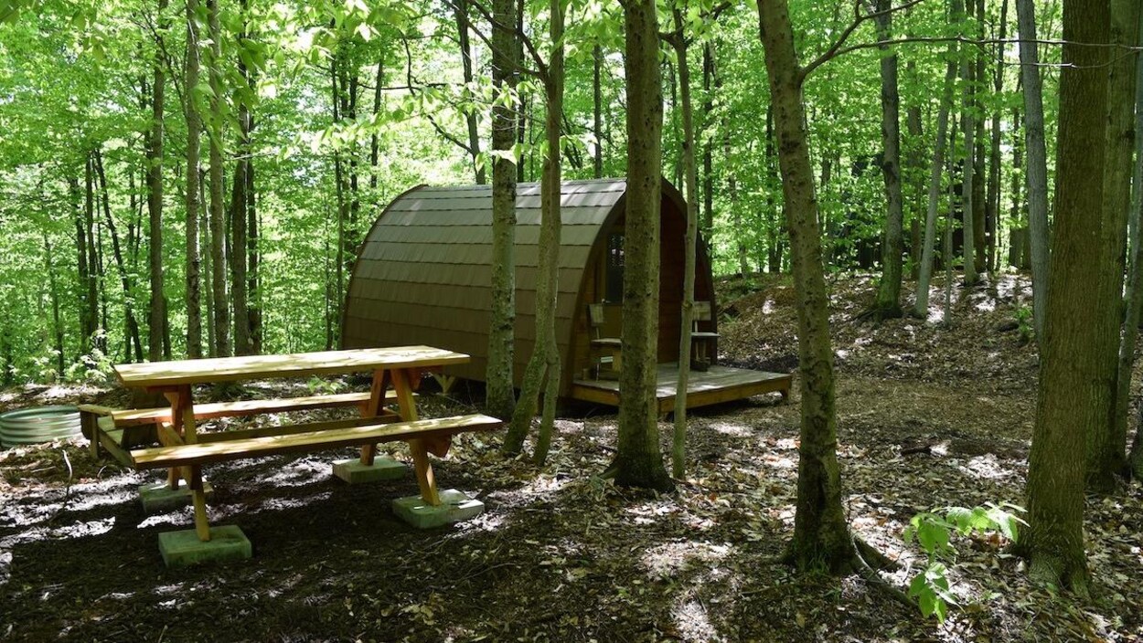 Un écogîte dans la forêt.