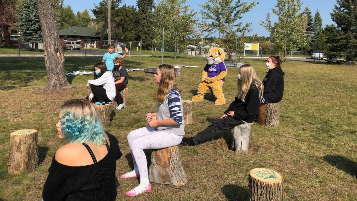 Des élèves sur des souches dans un parc