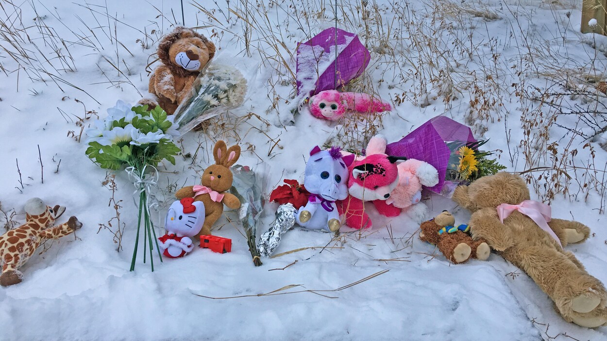 Un lion, un lapin, une girafe et d'autres animaux en peluche dans la neige. Un lion, un lapin, une girafe et d'autres animaux en peluche dans la neige.