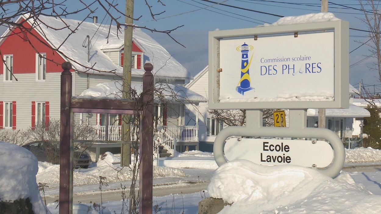 Des programmes spécialisés pour assurer la survie de l’école de Saint