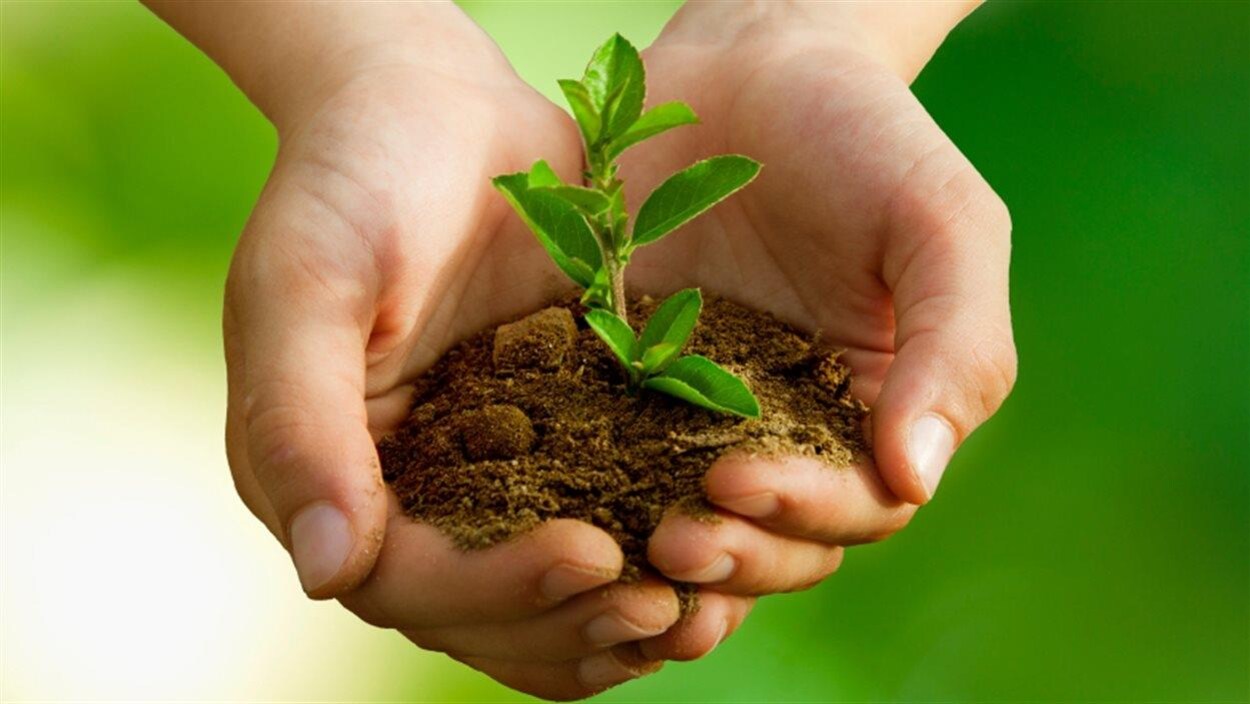 Écologie Écologie