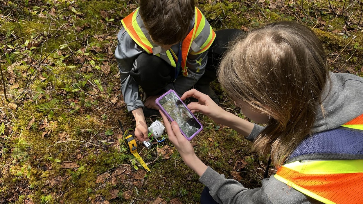 L’école en plein air au parc national du Bic