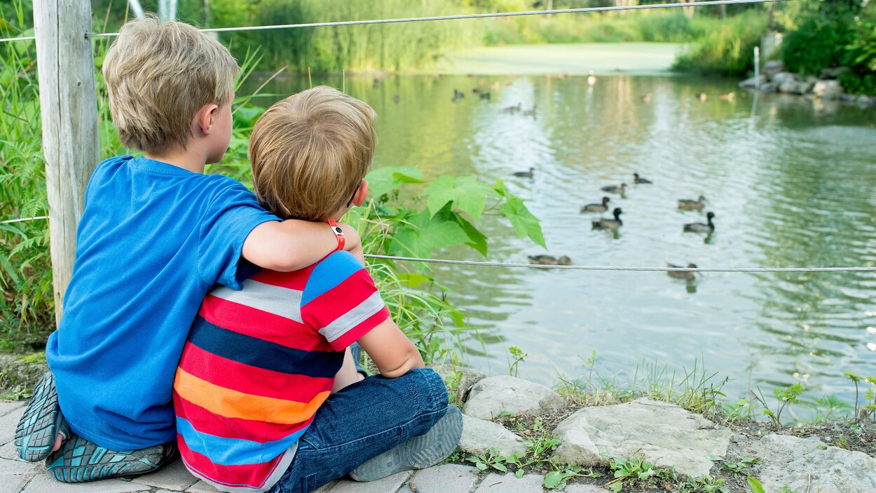 Enfants qui regardent les canards à l'Écomuseum de Sainte-Anne-de-Bellevue.