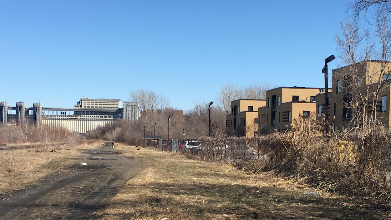 Le CN pulvérise de l’herbicide sans préavis dans Mercier–Hochelaga-Maisonneuve