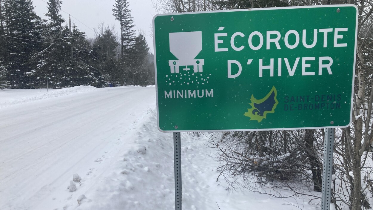 Un peigne pour réduire les abrasifs à SaintDenisdeBrompton Radio