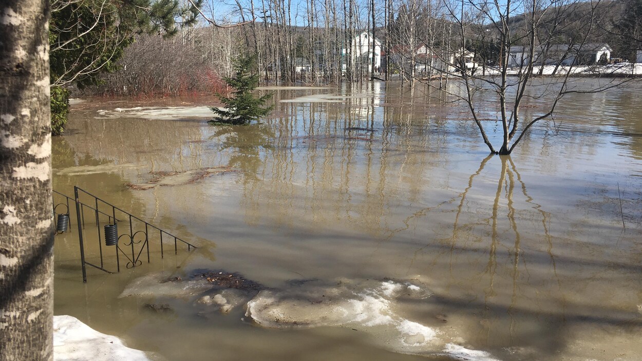 Un terrain inondé. L'eau recouvre l'escalier qui mène à la maison.