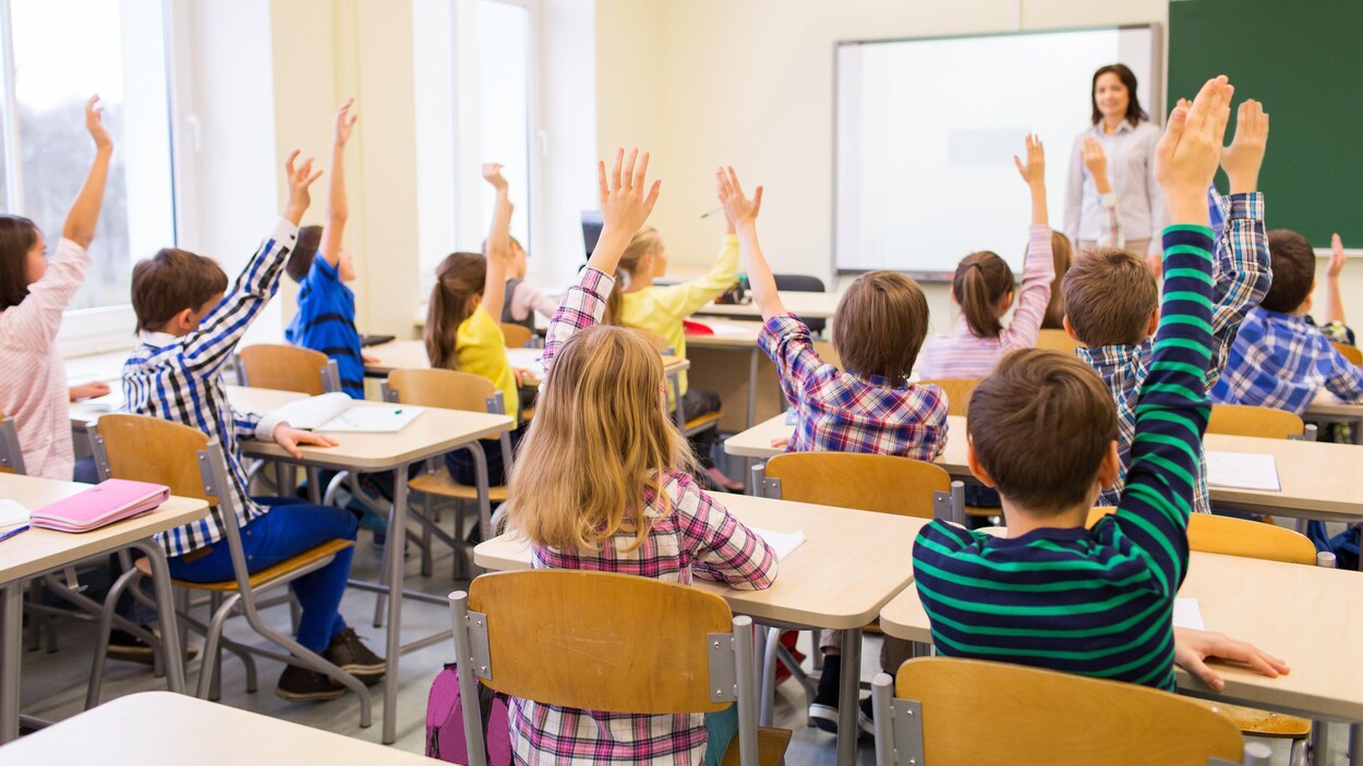 Des élèves de dos sont en classe et lèvent leur main pour participer.