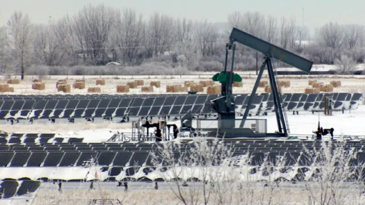 Plan large d'un champ avec des panneaux solaires avec à leur centre une pompe à pétrole et au fond un autre champ avec des bottes de foin.