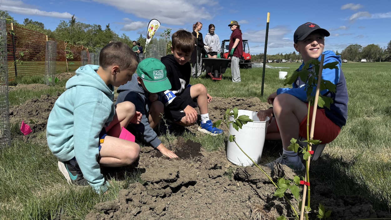 400 élèves de Regina « plantent un arbre pour laisser un bel héritage »