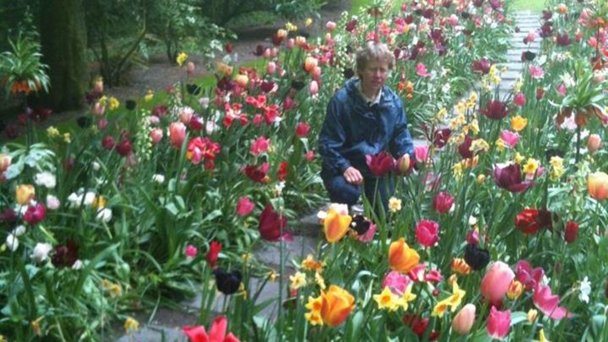 La femme est posée accroupie dans une allée bordée de tulipes. La femme est posée accroupie dans une allée bordée de tulipes.