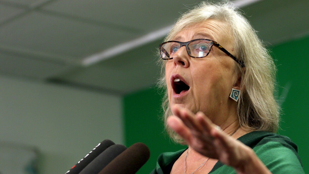 Elizabeth May s'adresse au micro lors d'une conférence de presse.