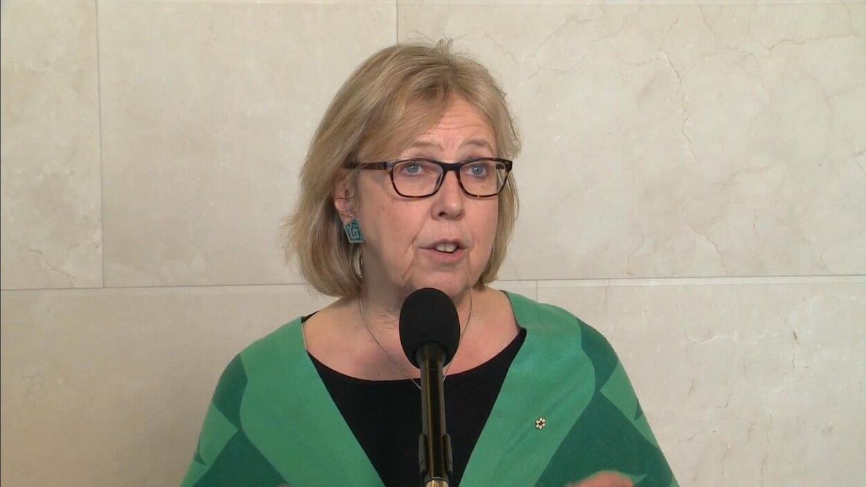 Elizabeth May devant un micro.