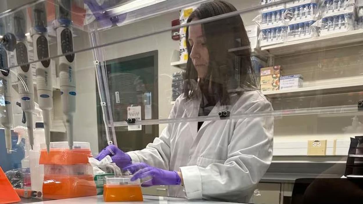 Une chercheuse révèle l’effet des virus sur le lac Winnipeg