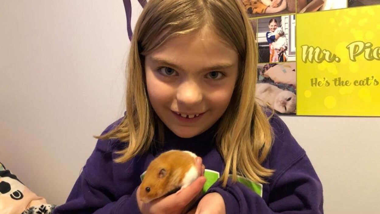 Une jeune fille tient un hamster bicolore dans ses mains.