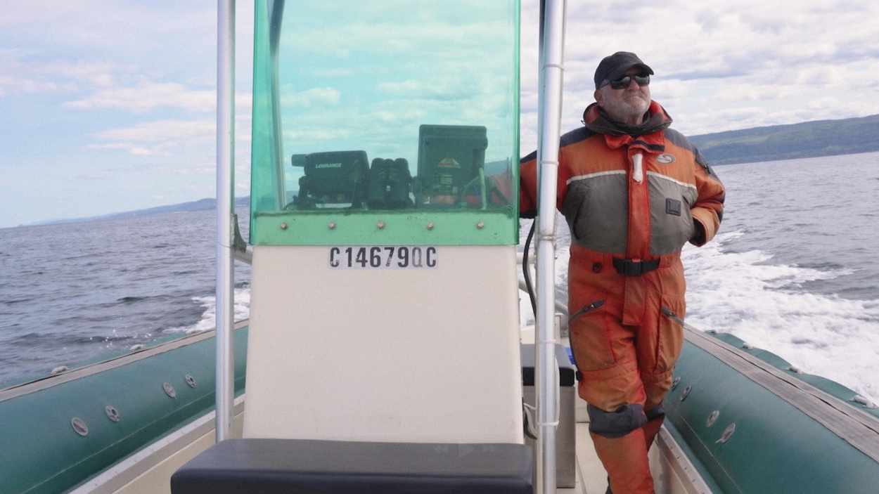 Des bénévoles font avancer l'étude des baleines dans le Saint-Laurent
