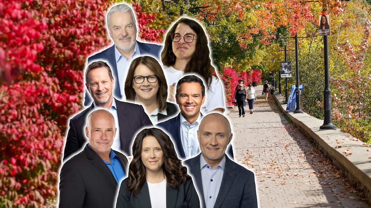 Voici vos nouveaux députés en Estrie