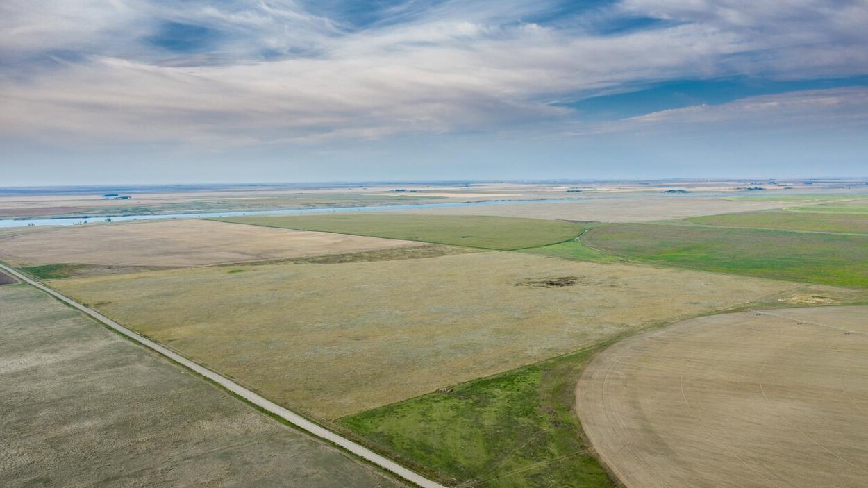 Une immense prairie.