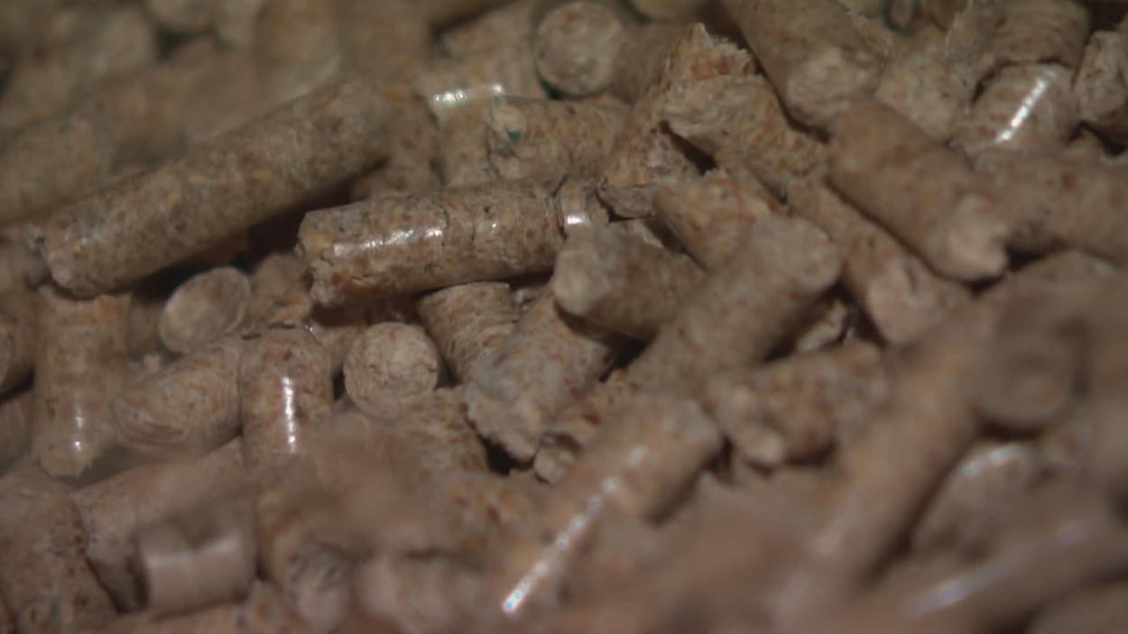 Des granules de bois.
