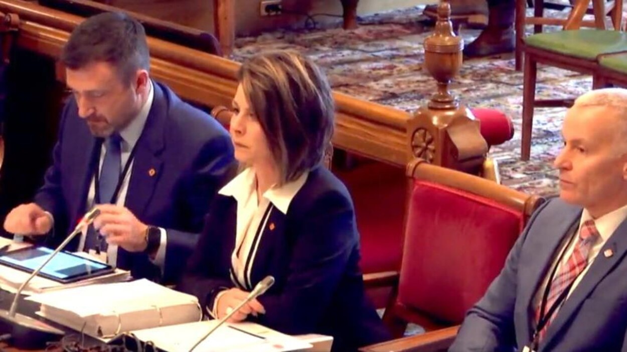 Une femme et deux hommes assis en comité parlementaire.