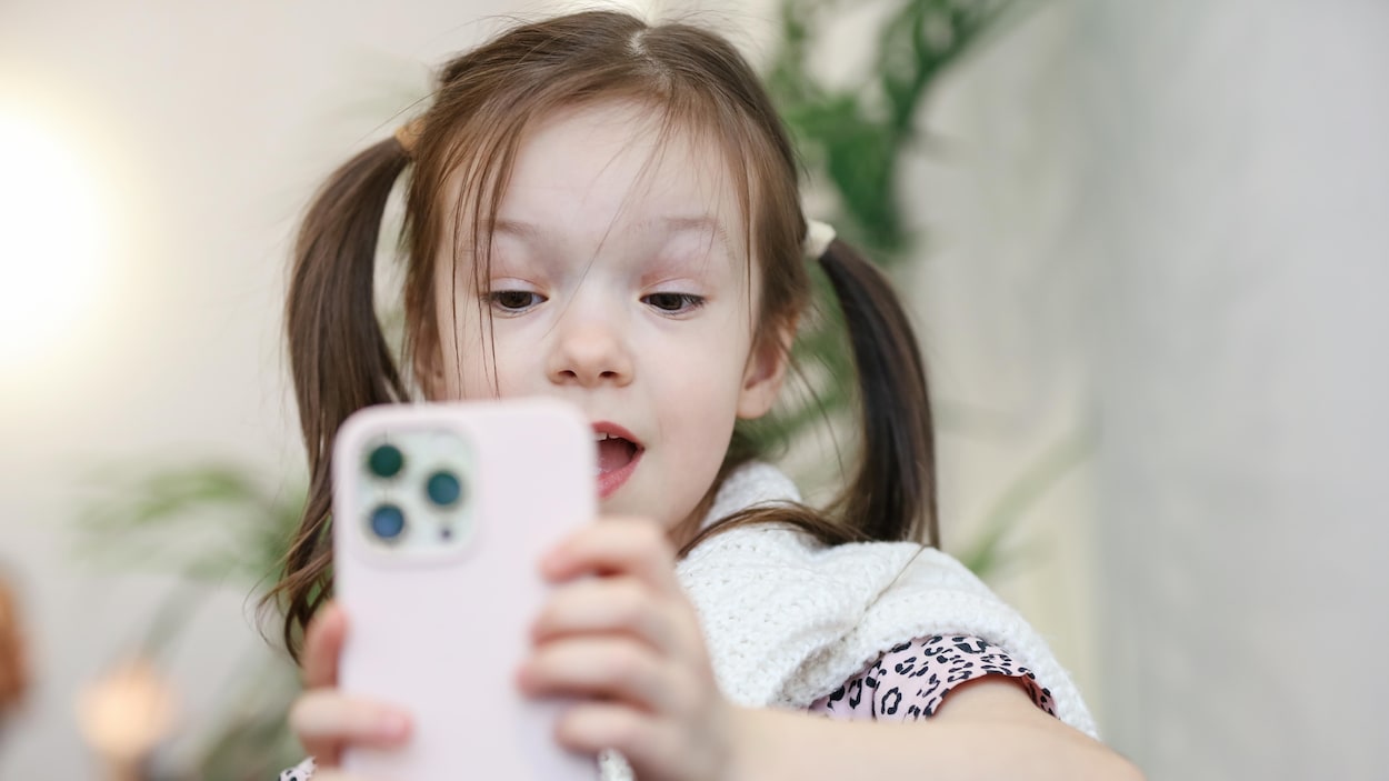 Une députée veut bannir les réseaux sociaux et les robots conversationnels des écoles
