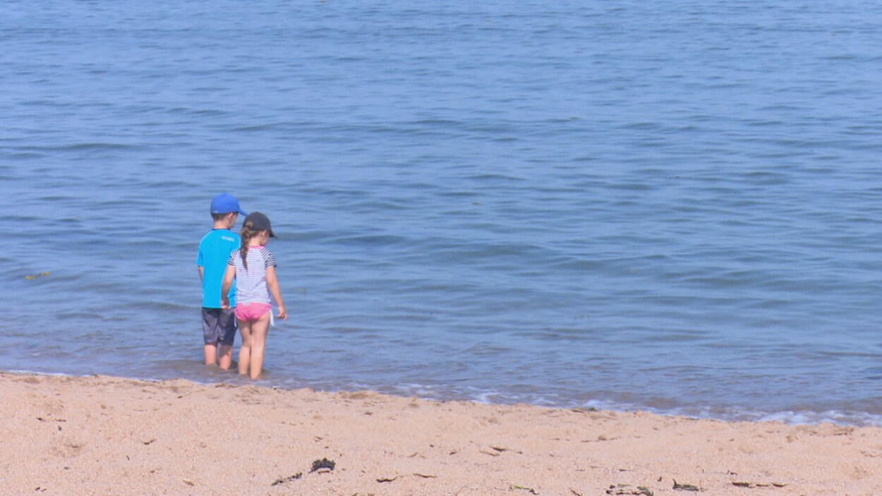 Des enfants se trempent les pieds dans l'eau de la mer.