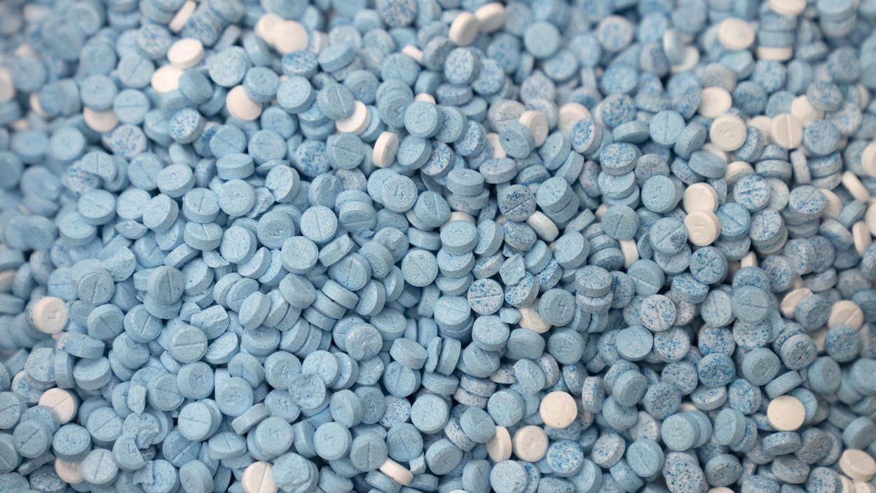 Les services de police de l’Î.-P.-É. signalent une hausse du fentanyl
