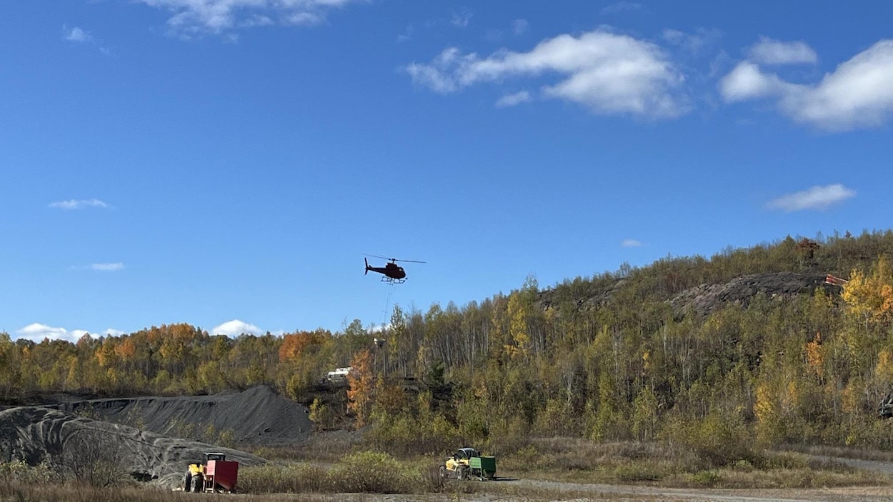 Le reverdissement du Grand Sudbury se poursuit avec un nouvel ensemencement aérien