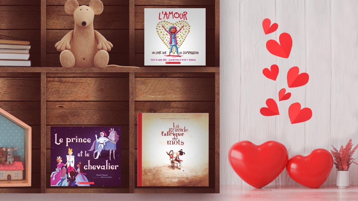 Les trois albums sont placés debout dans les cases d'une armoire en bois.