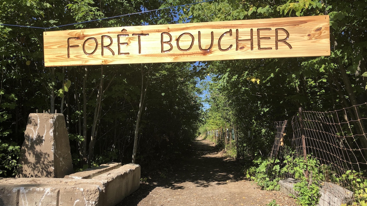 L'entrée d'un chemin qui mène à une forêt.