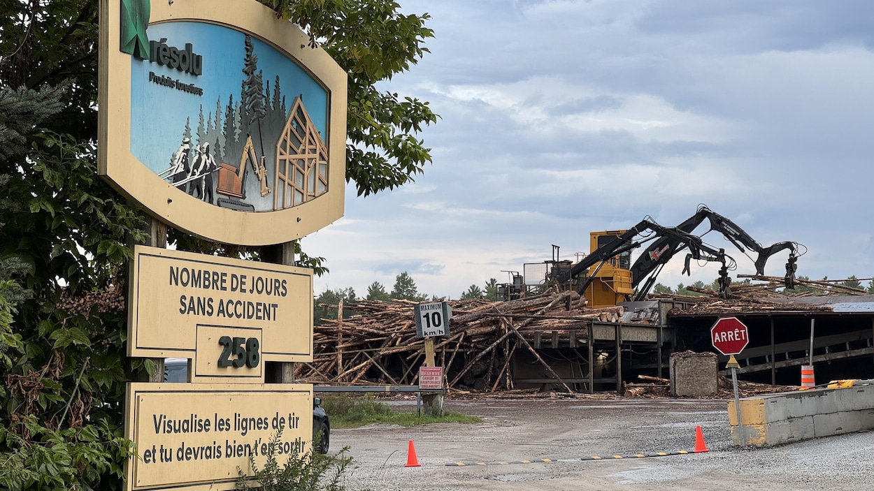 Domtar cherche un repreneur pour la scierie de Maniwaki