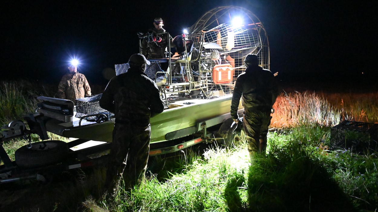 Un hydroglisseur de la Floride pour étudier les canards des Maritimes