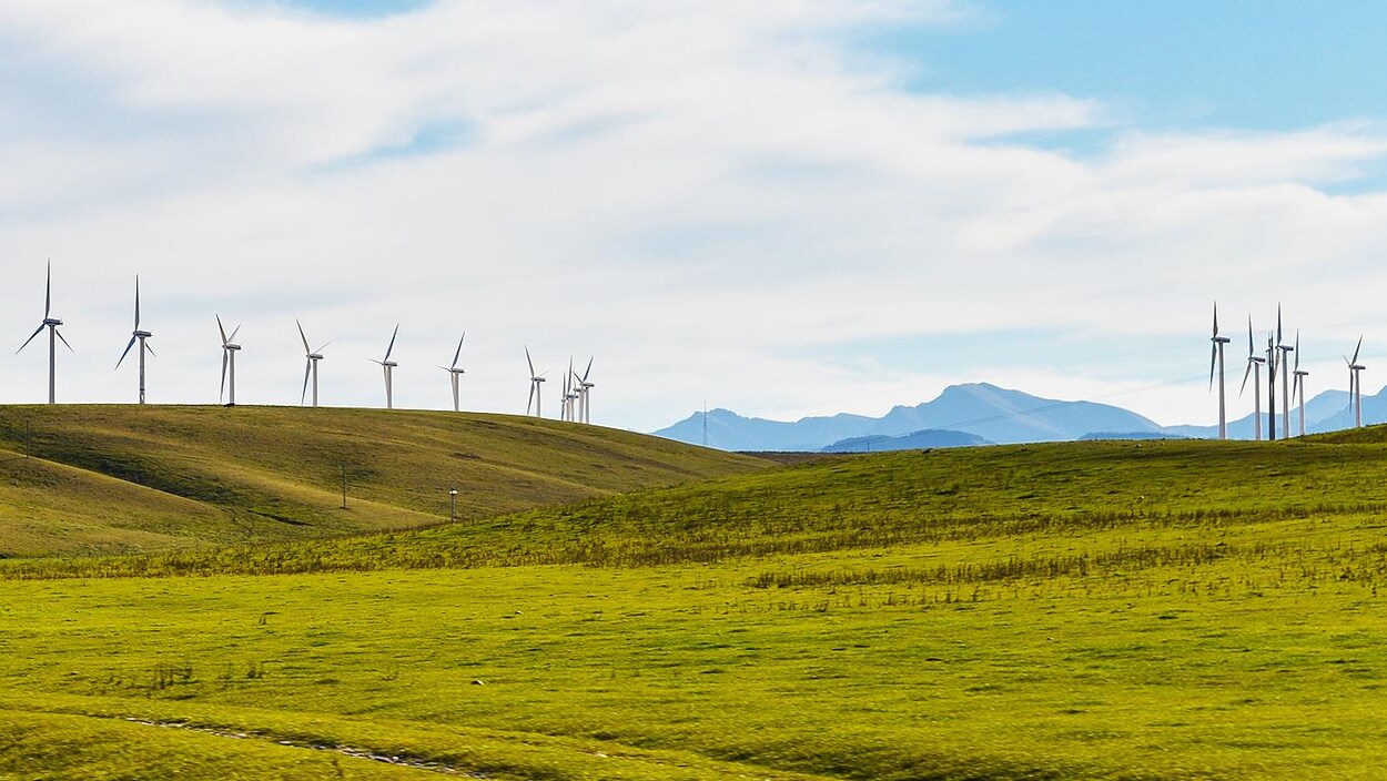 Un champ d'éoliennes près de Pincher Creek, dans le sud de l'Alberta.