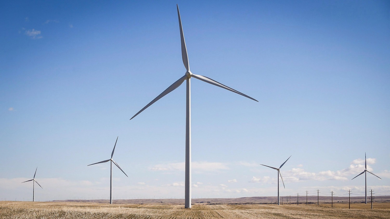 Des contrats d’énergie renouvelable en baisse de 99 % en Alberta depuis 2023
