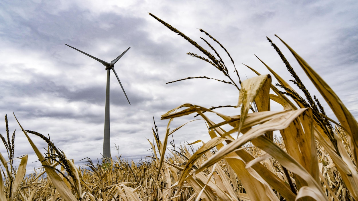TES Canada envisage de retarder ses projets controversés d’éoliennes