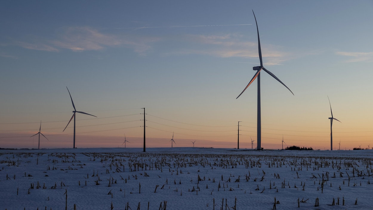 Énergie verte : la N.-É. se dit capable d’atteindre sa cible de 2030