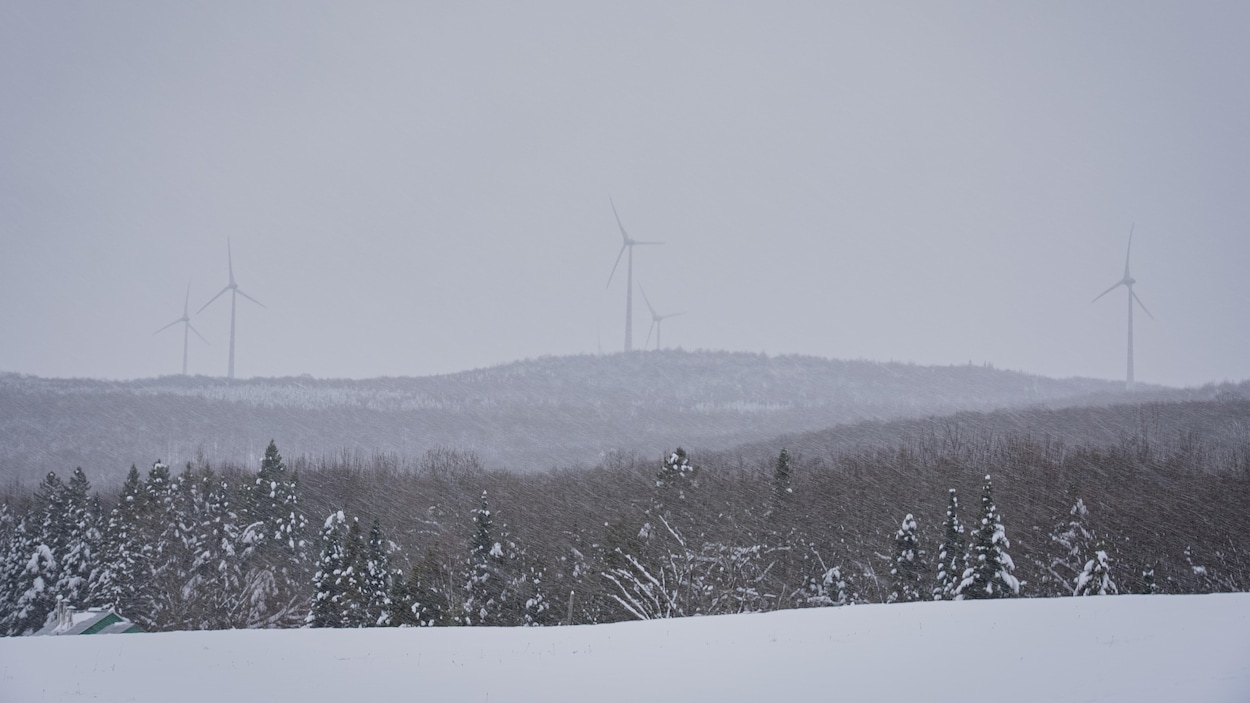 TES Canada demande de l'électricité à Hydro-Québec